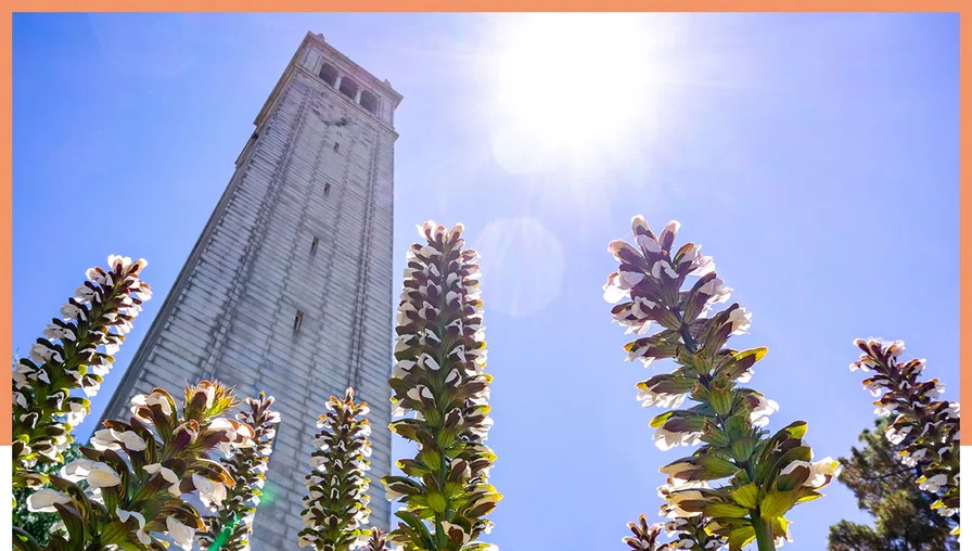Low angle view looking up at Sather tower, UC Berk